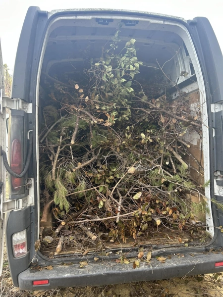 Entretien des massifs à Toulon